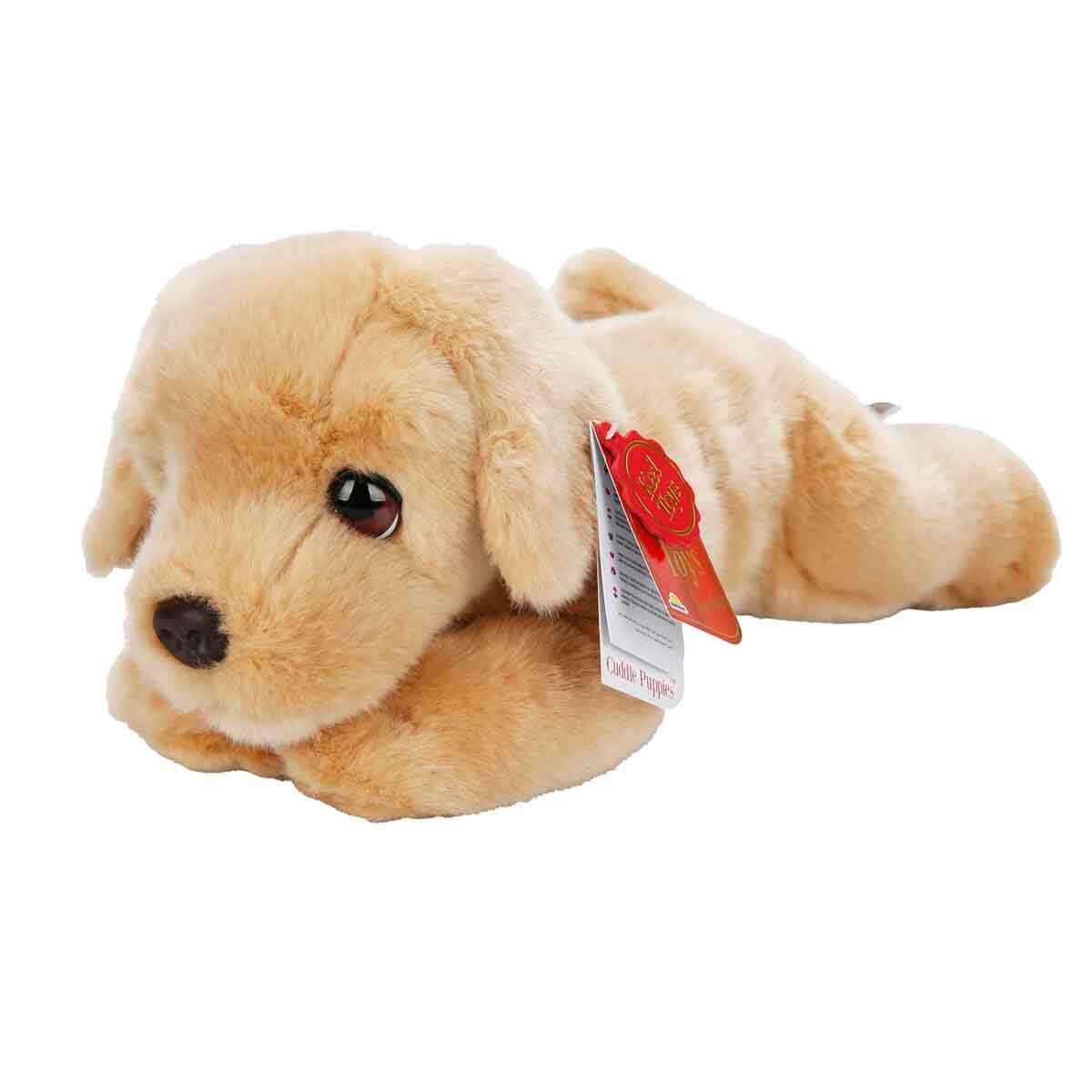 undefined - 2539a_Yavru_Labrador_Pelus_Kopek_32_cm..jpg