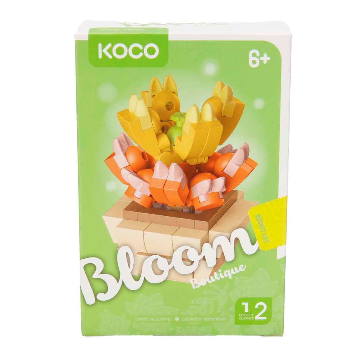 undefined - 25e93_KOCO_Bloom_Boutique_Saksida_Sukulent_.jpg