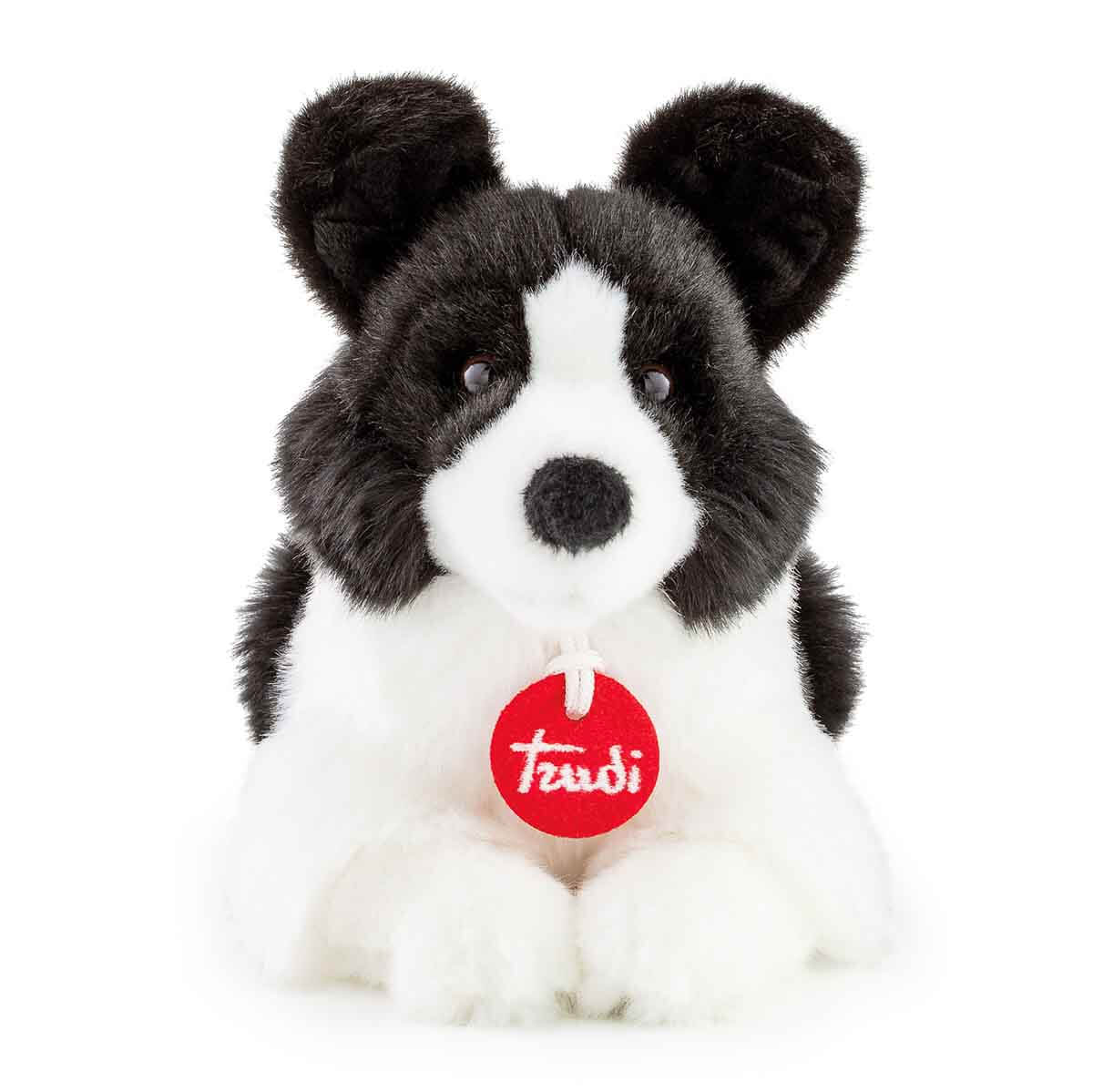 undefined - 27699_Pelus_Border_Collie_Scott_TUDN7000.jpg