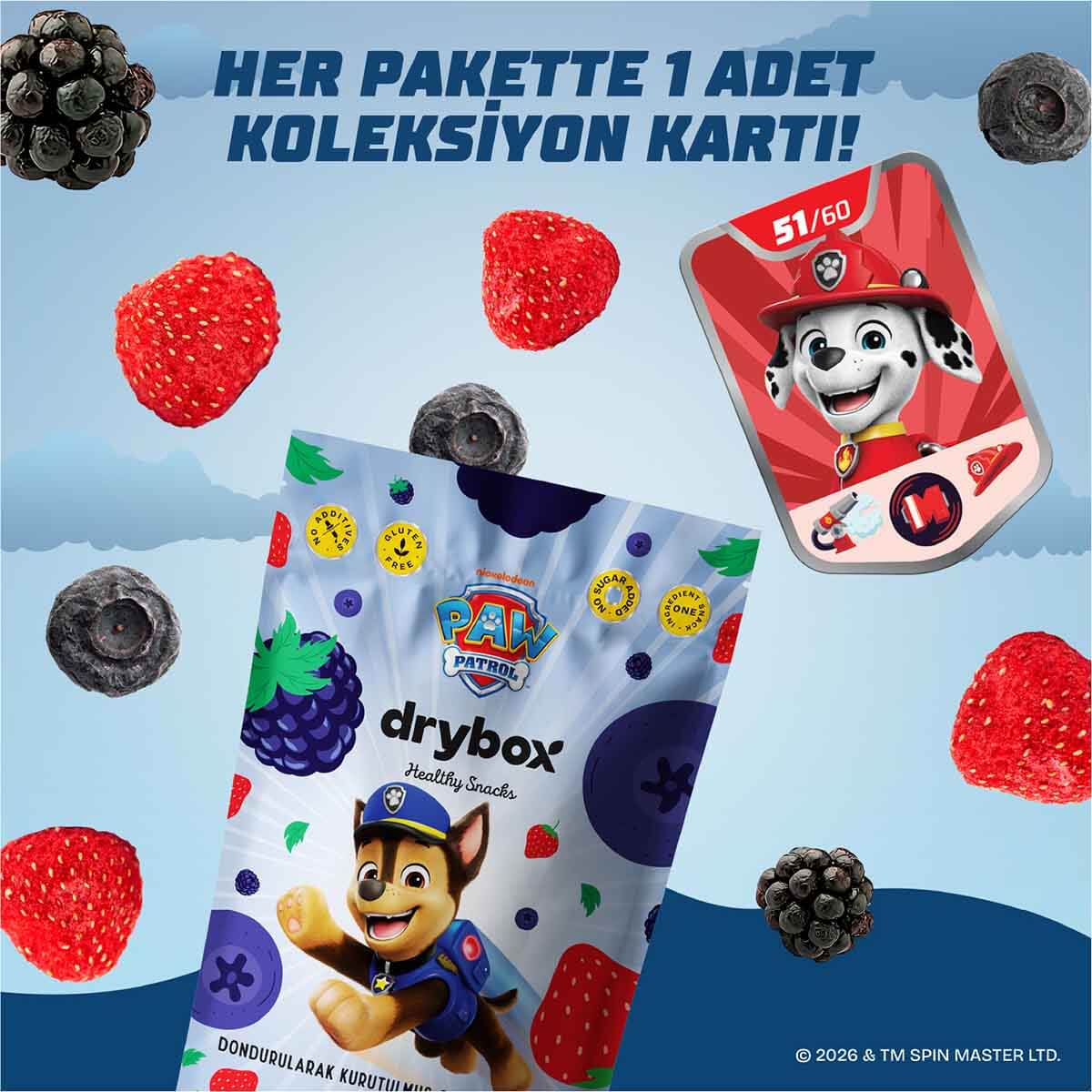 undefined - 296bb_DryBOX_PAW_Patrol_Dondurularak_Kurutulmus_Orman_Me.jpg