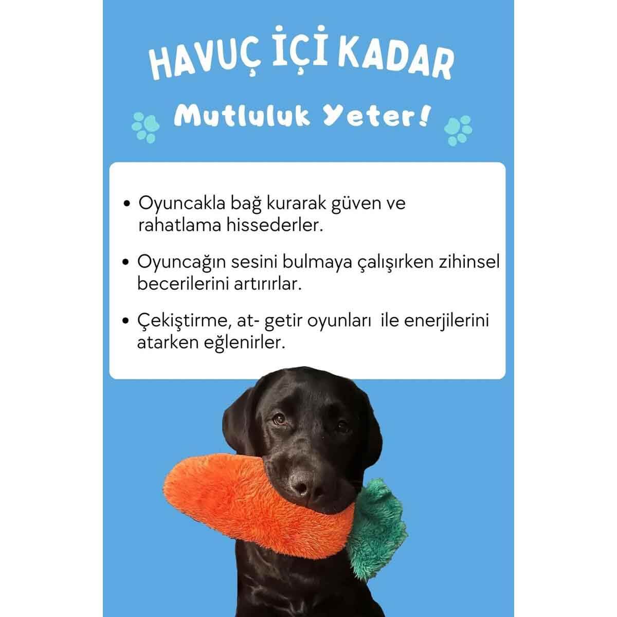 undefined - 2be53_Havhav_-_Tombik_Havuc_Hisirtili_Vik_Vik_Pelus_Kope.jpg