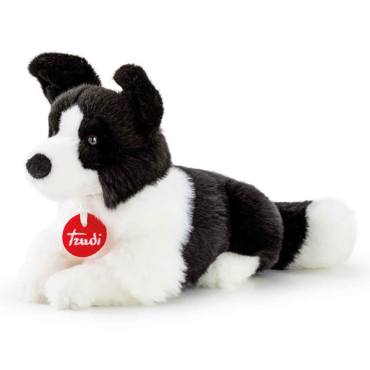 undefined - 2d417_Pelus_Border_Collie_Scott_TUDN7000.jpg