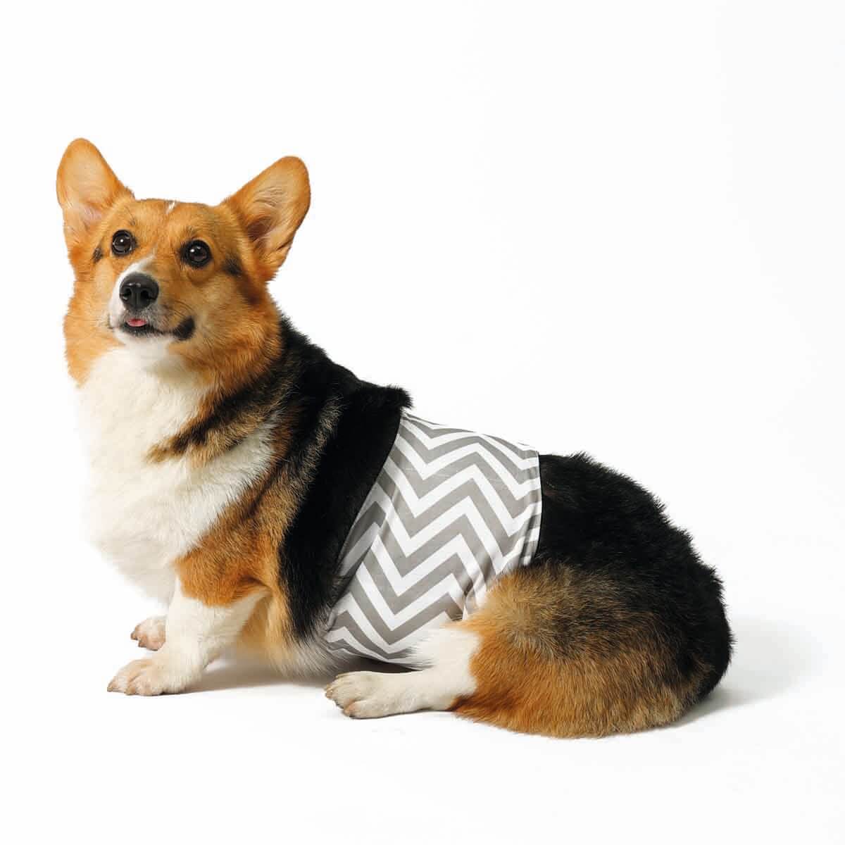 undefined - 2da13_M_Pets_Erkek_Kopekler_Icin_Yikanabilir_Kulot_XL.jpg