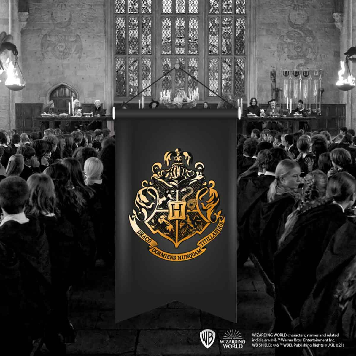 undefined - 2e1fb_Harry_Potter_Hogwarts_Kirlangic_Flama_02.jpg