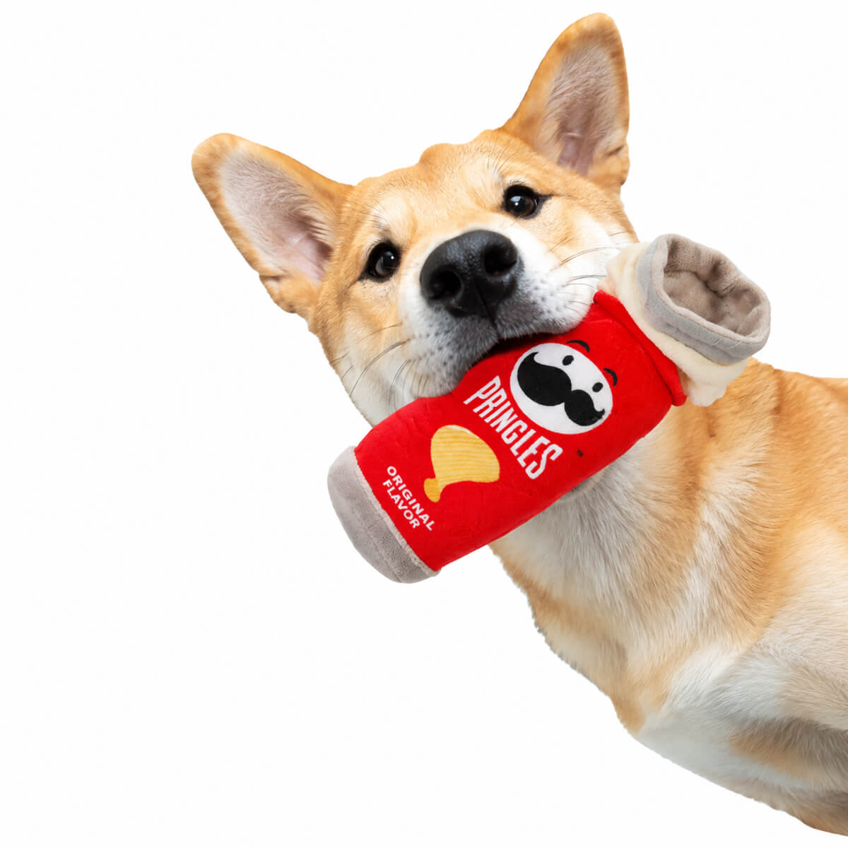 undefined - 2ea86_Eolo_Pringles_Gicirdakli_Kopek_Oyuncagi.jpg