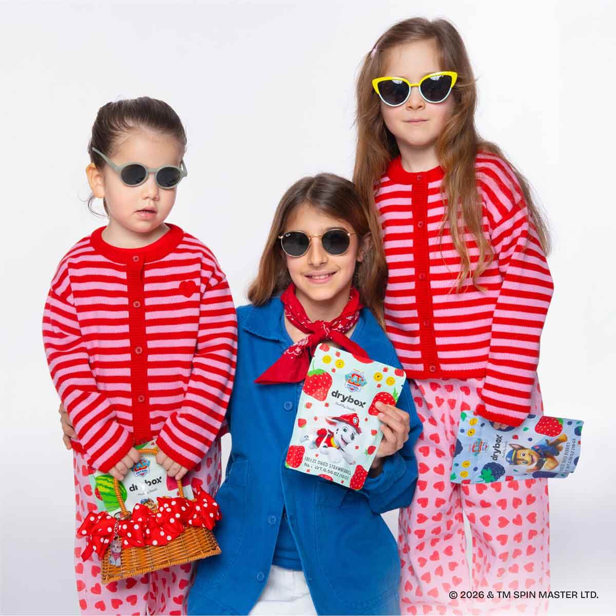 undefined - 2fa12_DryBOX_PAW_Patrol_Dondurularak_Kurutulmus_Cilek.jpg