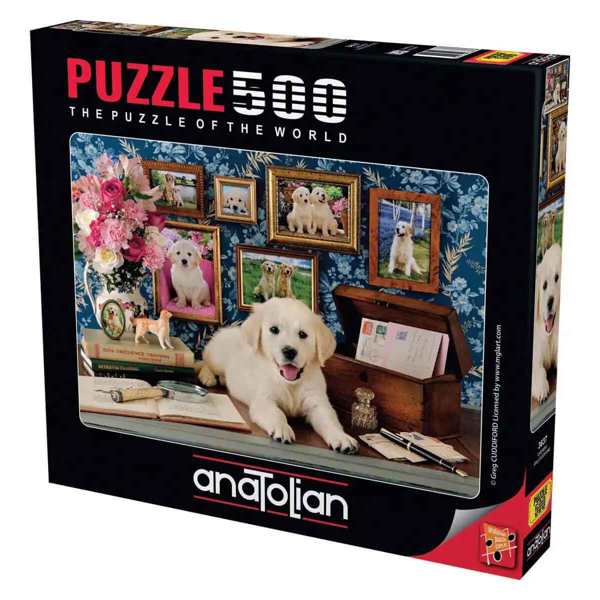 undefined - 31411_500_Parca_Puzzle_Labrador.jpg