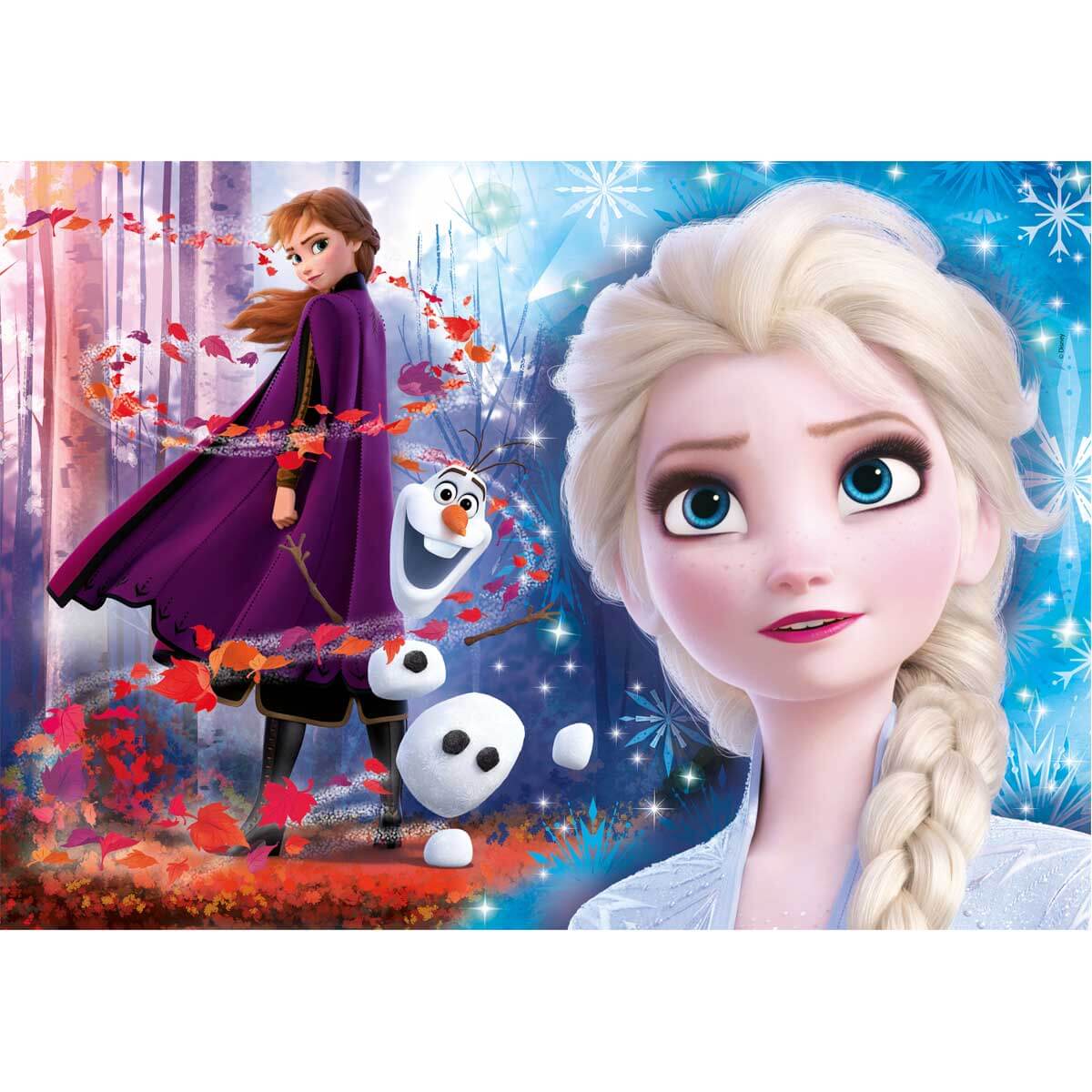 undefined - 355ae_104_Parca_Jewels_Puzzle_:_Frozen_2_.jpg