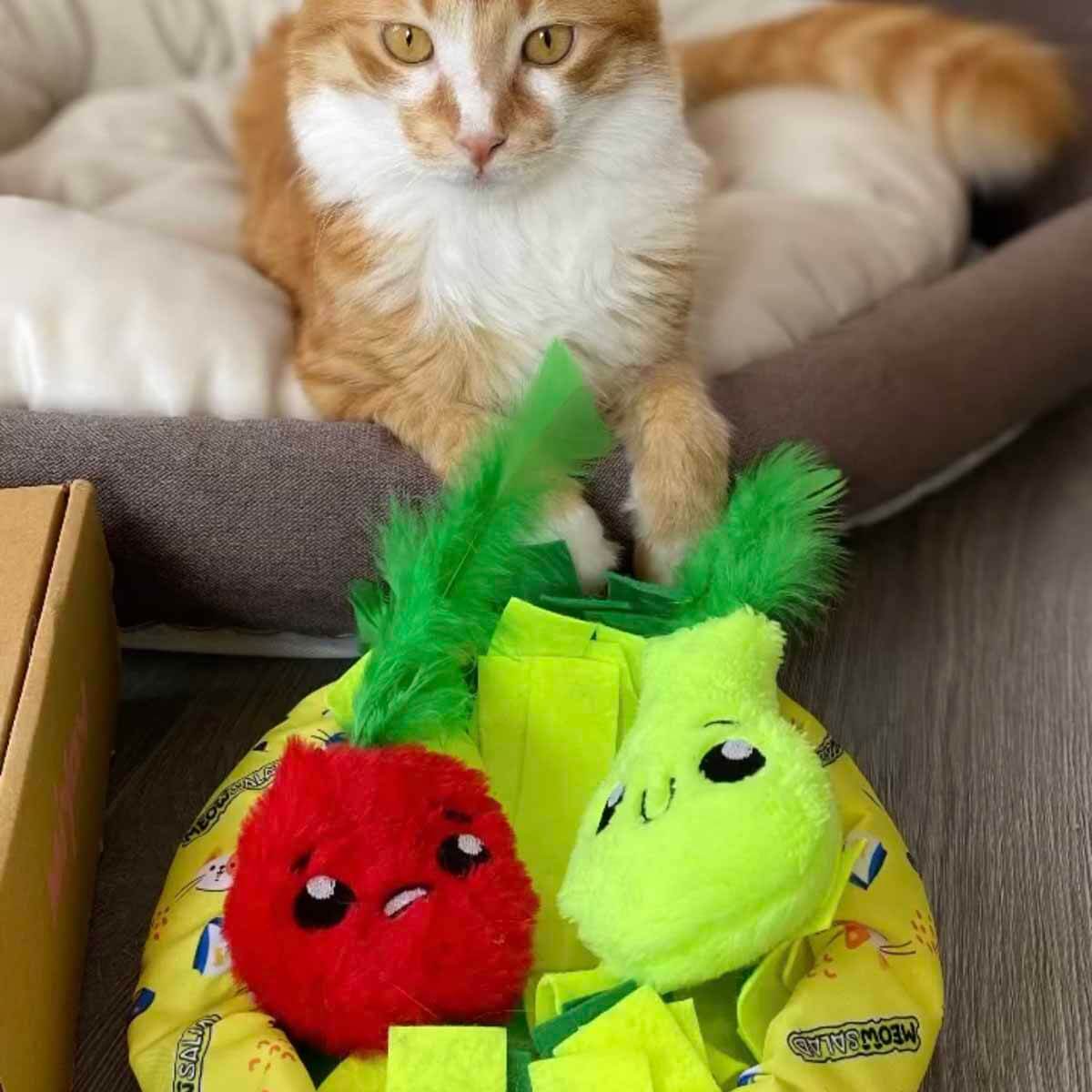 undefined - 35984_Miyav_Catnipli_Kedi_Oyuncagi_Pelus_Elma_.jpg