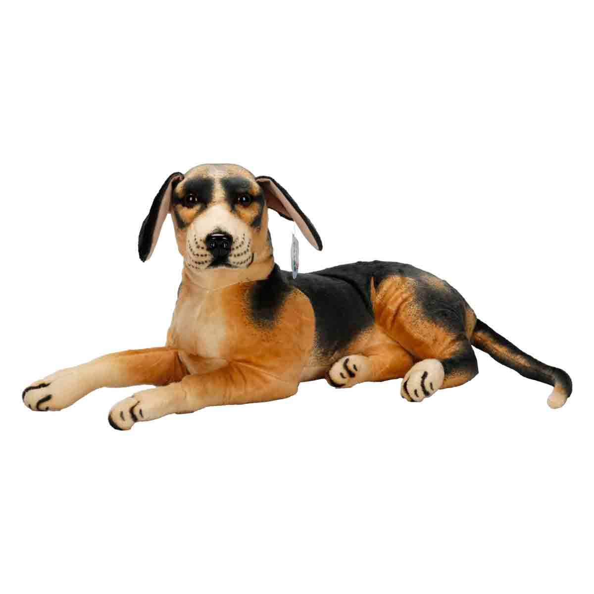 undefined - 3a80c_Beagle_Pelus_68_cm..jpg