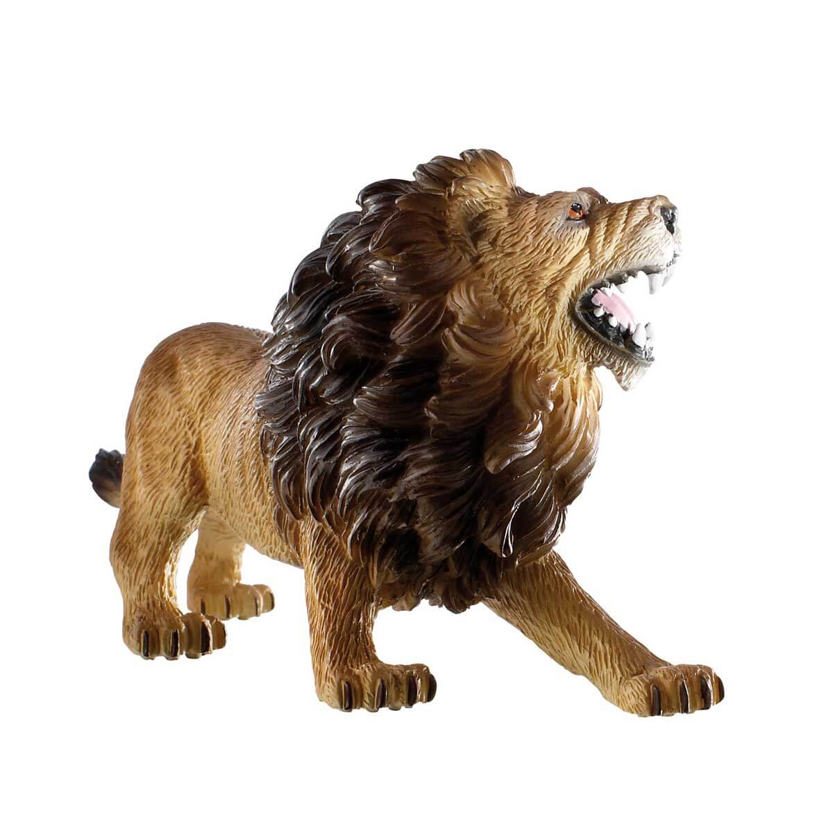 undefined - 3b191_Aslan.jpg
