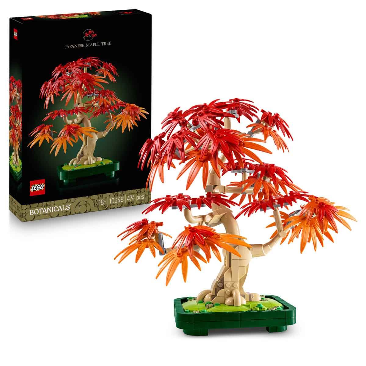juniperus procumbens bonsai Juniper Procumbens 'Nana' Bonsai Tree in Traditional Ceramic main image 0