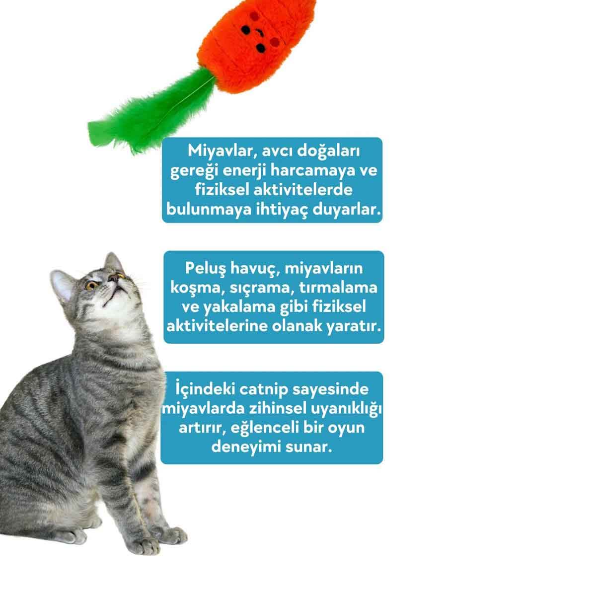 undefined - 3d8fe_Miyav_-_Catnipli_Kedi_Oyuncagi_Pelus_Havuc.jpg