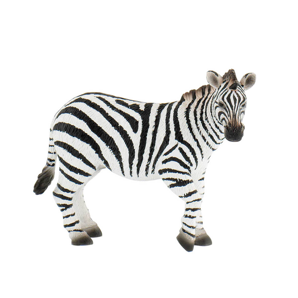 undefined - 40544_Vahsi_Zebra.jpg