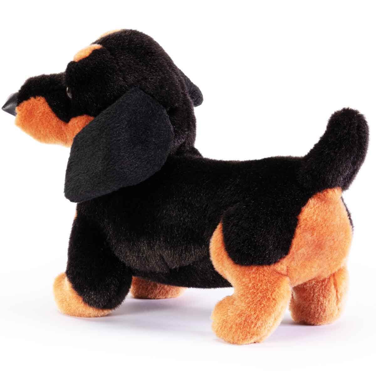undefined - 4233e_Pelus_Dachshund_Leo_TUD22336.jpg