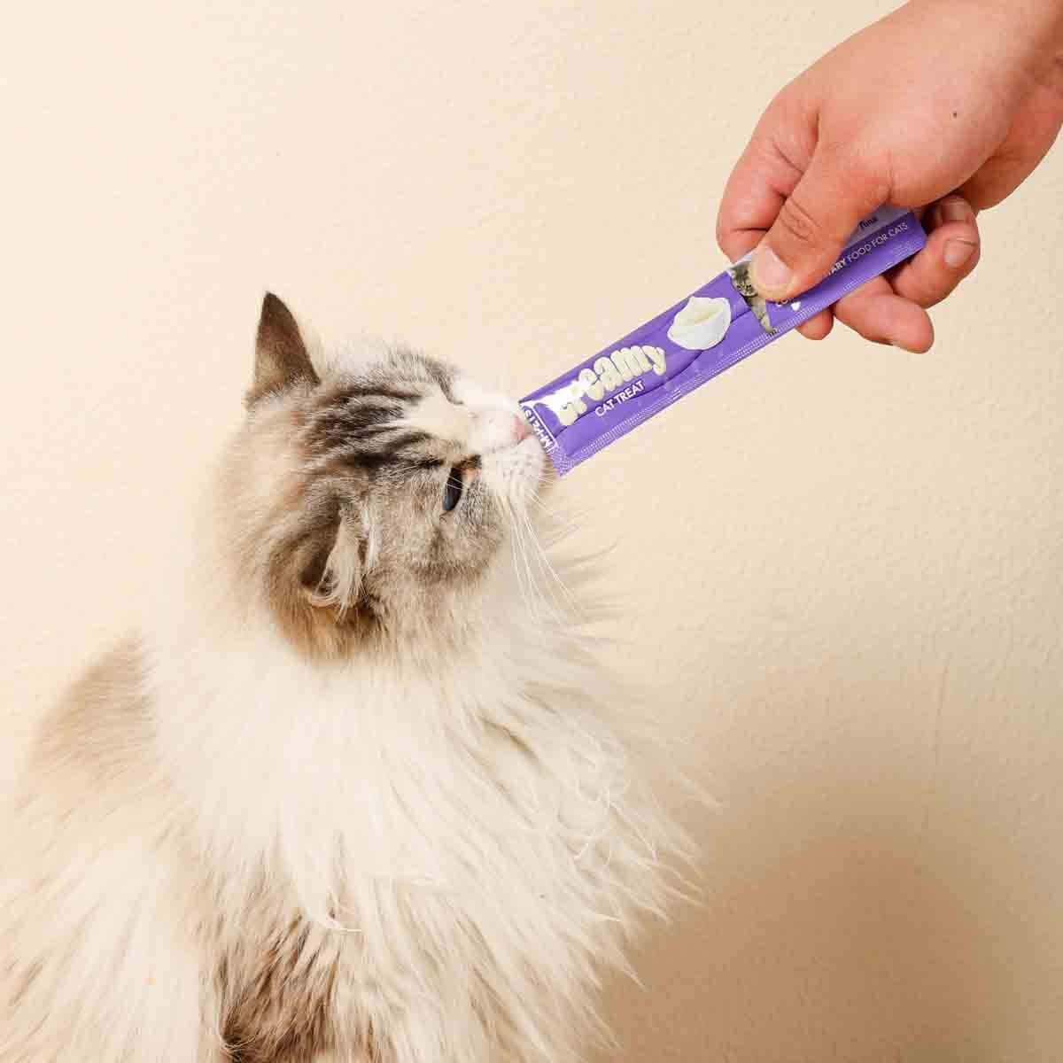 undefined - 45290_M_Pets_Creamy_Ton_Balikli_Kedi_Odulu.jpg