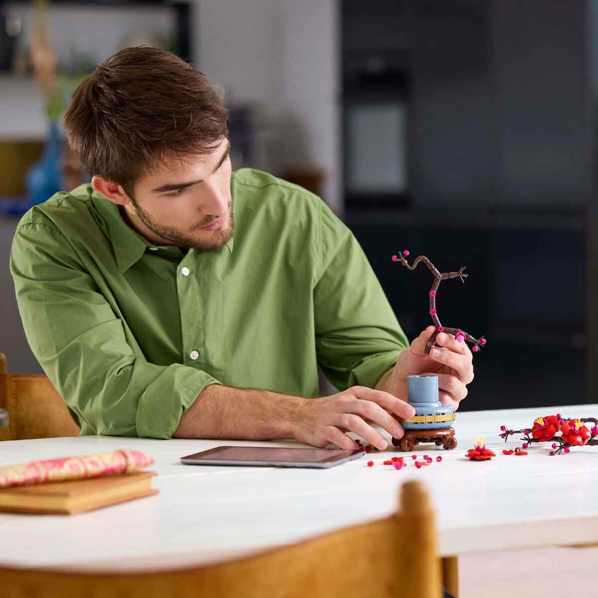 undefined - 455ab_LEGO_Icons_Erik_Cicegi_10369.jpg