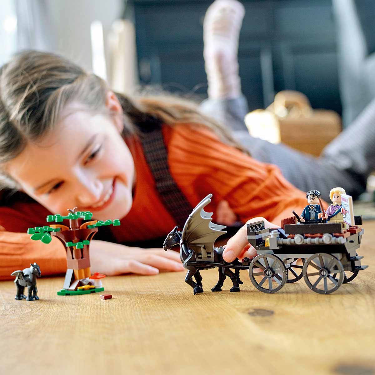 undefined - 46116_LEGO_Harry_Potter_Hogwarts_Araba_ve_Testraller_764.jpg