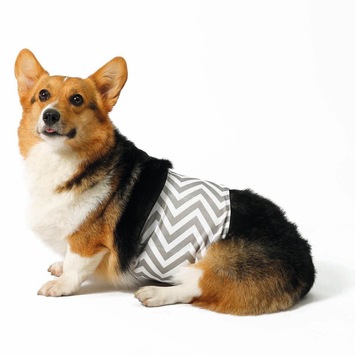 undefined - 465d1_M_Pets_Erkek_Kopekler_Icin_Yikanabilir_Kulot_M.jpg