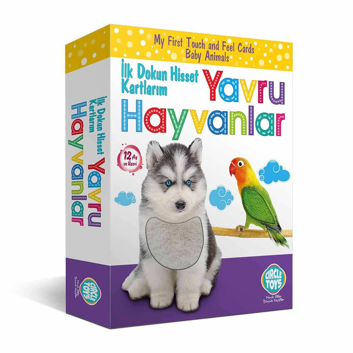 undefined - 4b381_Circle_Toys_Dokun_Hisset_Tani_Yavru_Hayvanlar_Egit.jpg