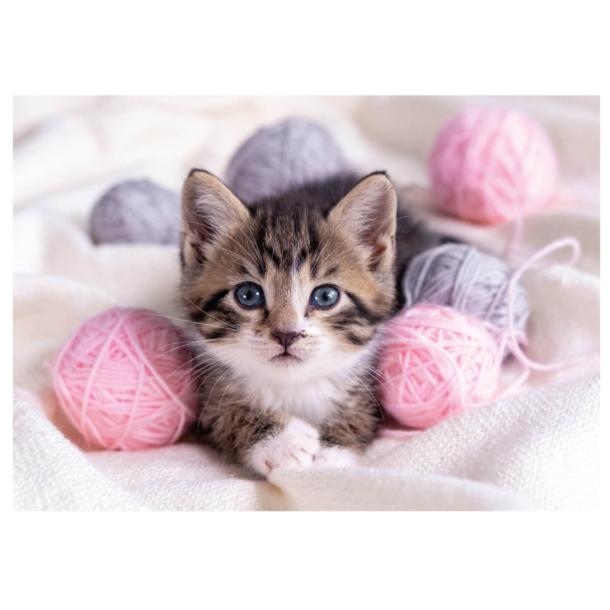 undefined - 4dad2_60_Parca_Puzzle__Sevimli_Kedi.jpg