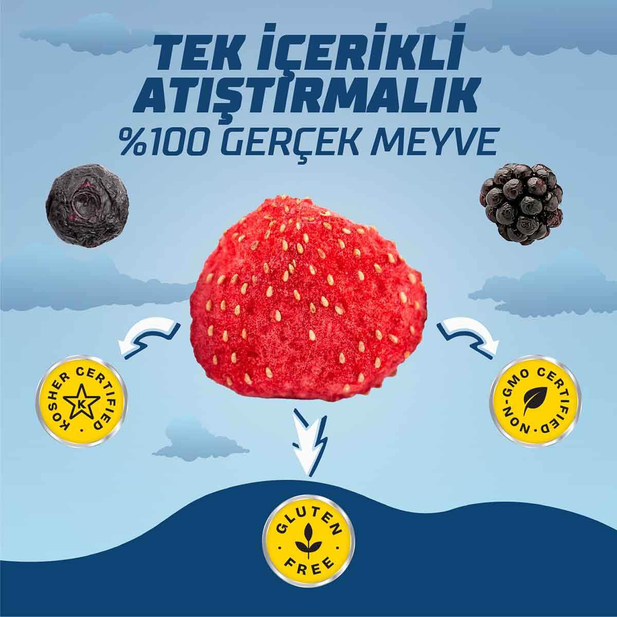 undefined - 4e1f0_DryBOX_PAW_Patrol_Dondurularak_Kurutulmus_Orman_Me.jpg