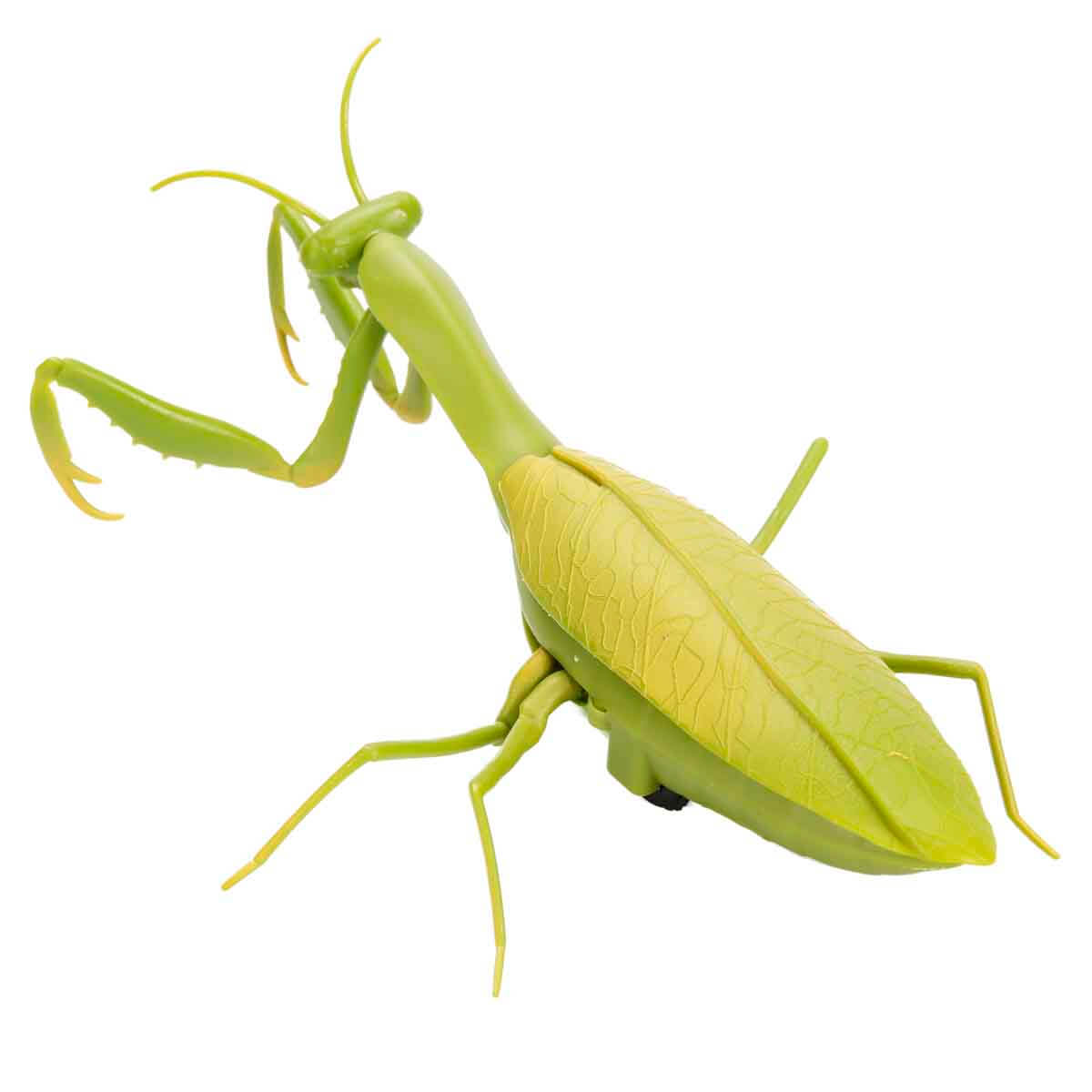 undefined - 4f5f5_Crazoo_Isikli_Uzaktan_Kumandali_Cekirge.jpg