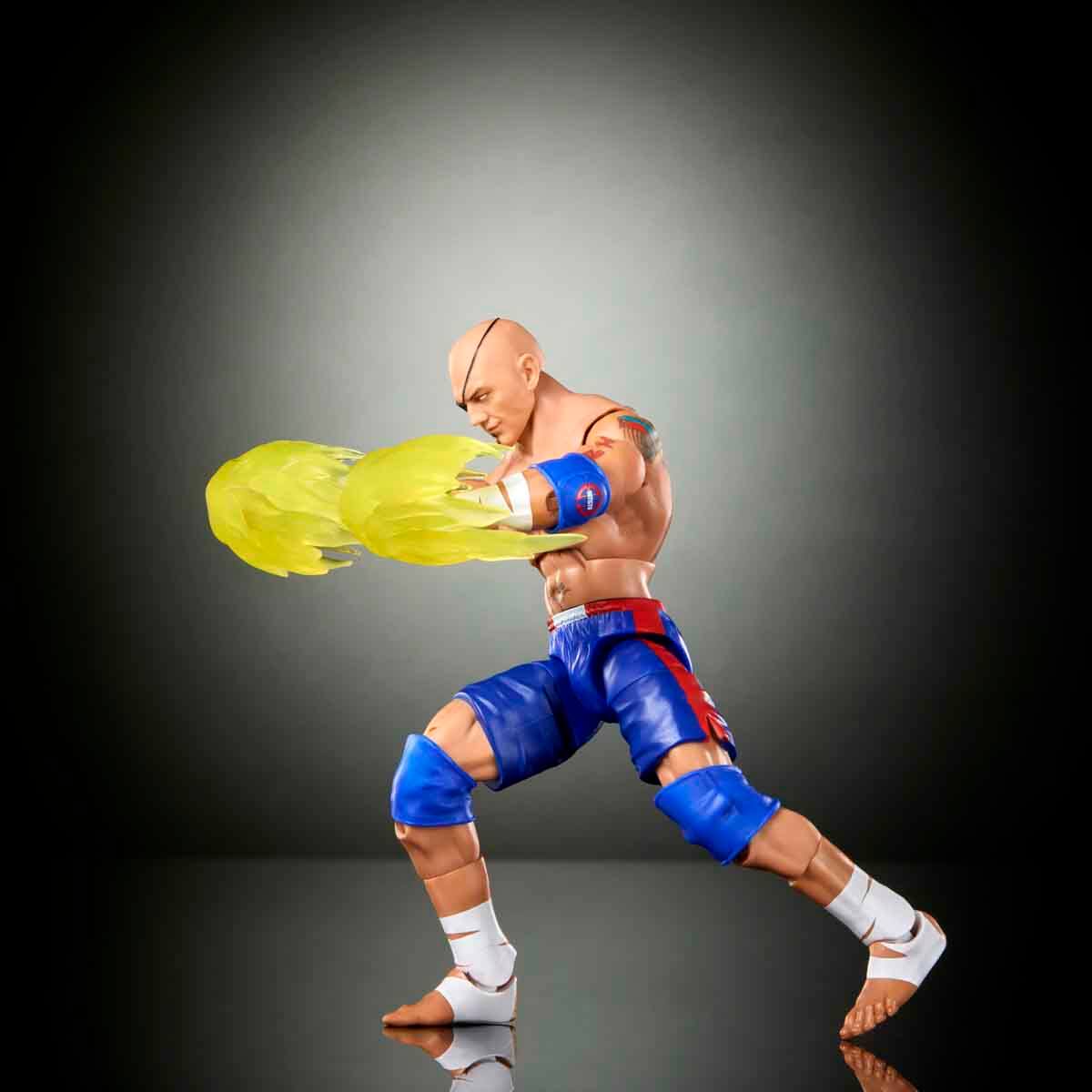undefined - 52037_WWE_x_Street_Fighter_Aksiyon_Figuru_JLD71.jpg