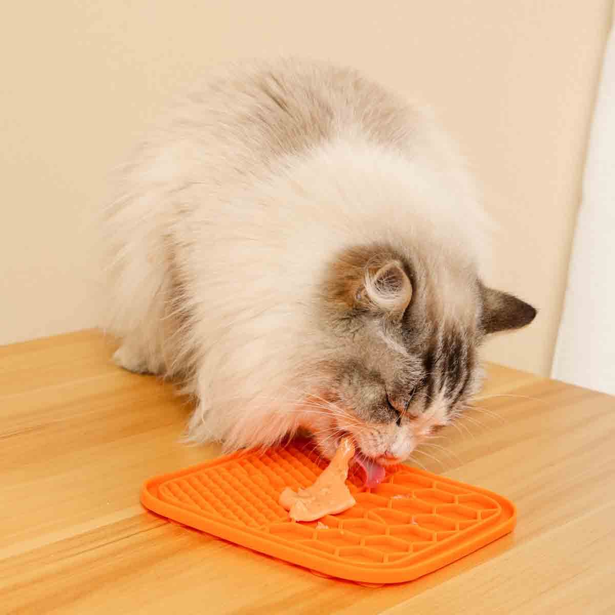 undefined - 520f2_M_Pets_Creamy_Ton_Balikli_Karidesli_Kedi_Odulu.jpg
