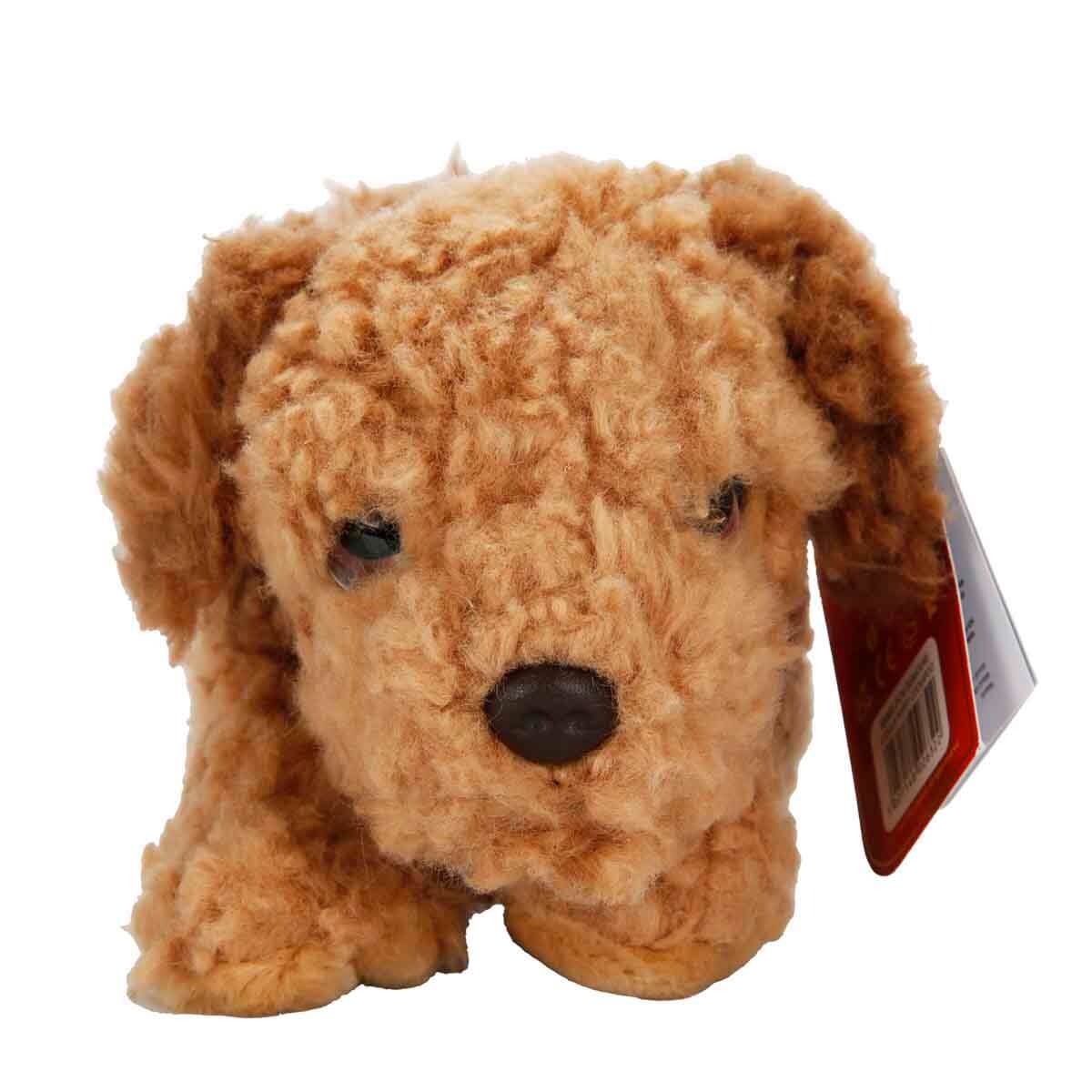 undefined - 547d4_Cockapoo_Yavru_Kopek_Pelus_25_cm.jpg