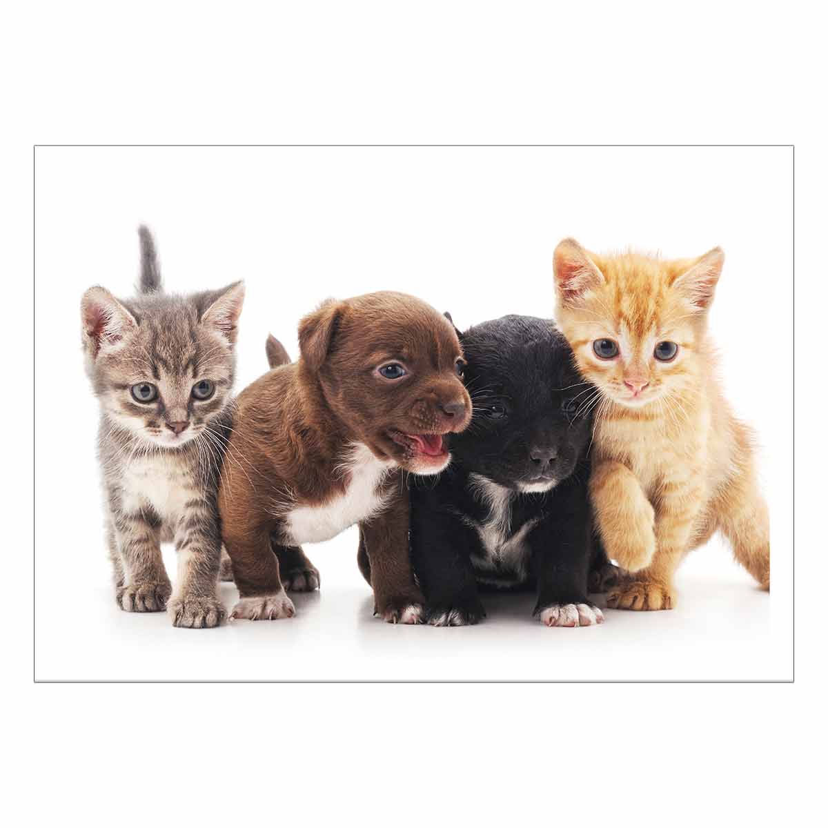undefined - 56c14_-.jpg