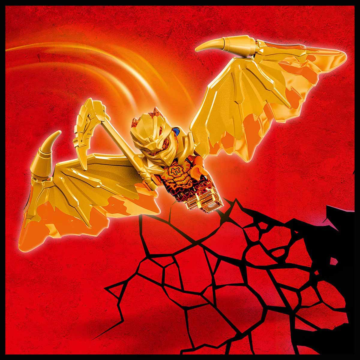 undefined - 57bed_LEGO_NINJAGO_Zane_in_Altin_Ejderha_Jeti_71770.jpg