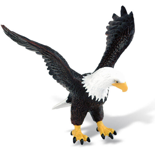 undefined - 5aba8_Kartal.jpg