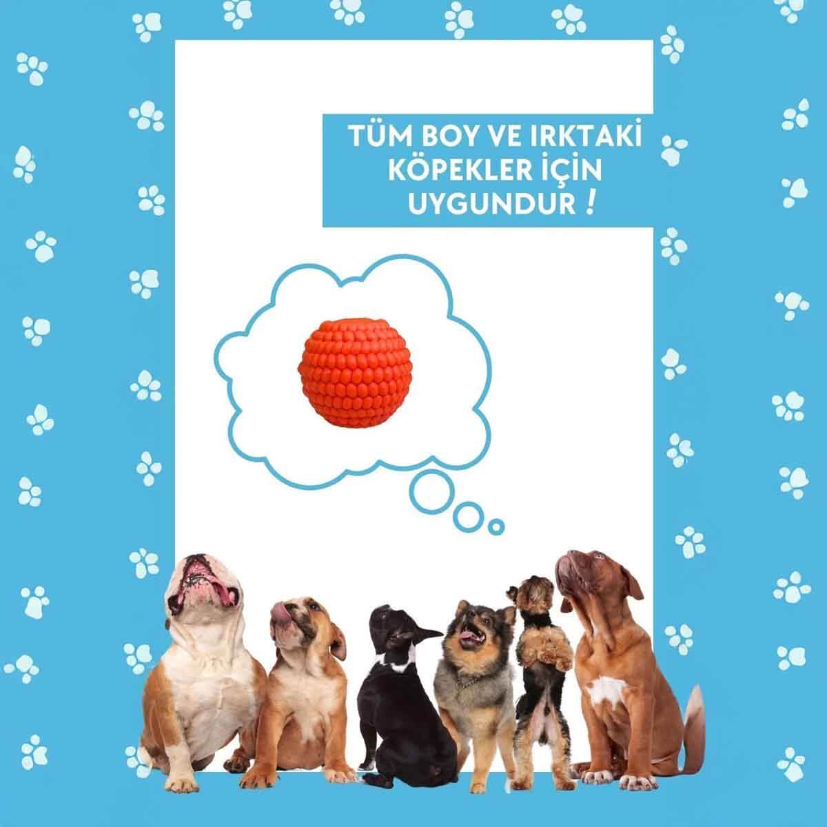 undefined - 5c086_Havhav_Mama_Saklamali_Turuncu_Kopek_Oyun_Topu_.jpg