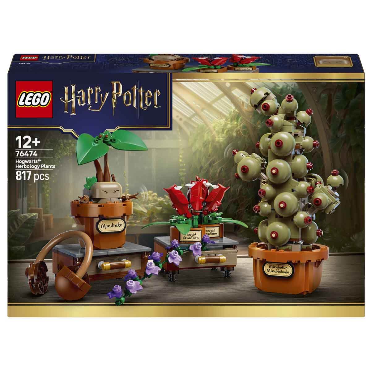 undefined - 5e3f0_LEGO_Harry_Potter_Hogwarts_Bitkibilim_Bitkileri_76.jpg