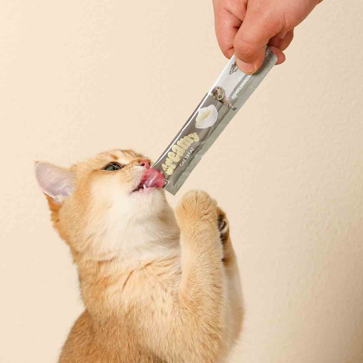 undefined - 5fb4b_M_Pets_Creamy_Morina_Balikli_Biftekli_Kedi_Odulu.jpg