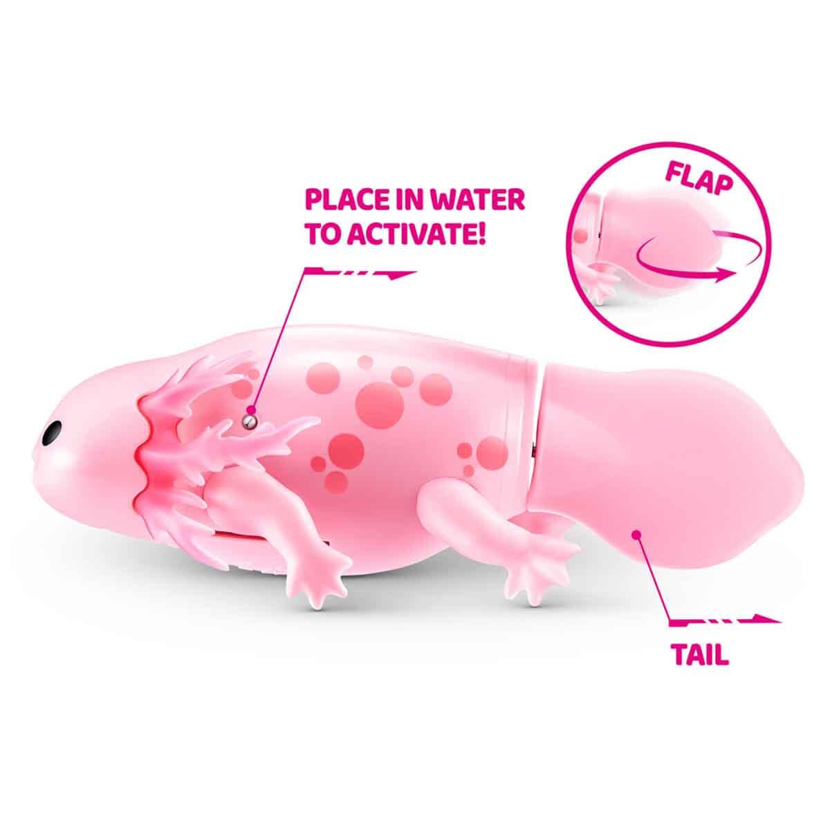 undefined - 645fd_Pets_Alive_Yuzen_Axolotl_PEL09000.jpg