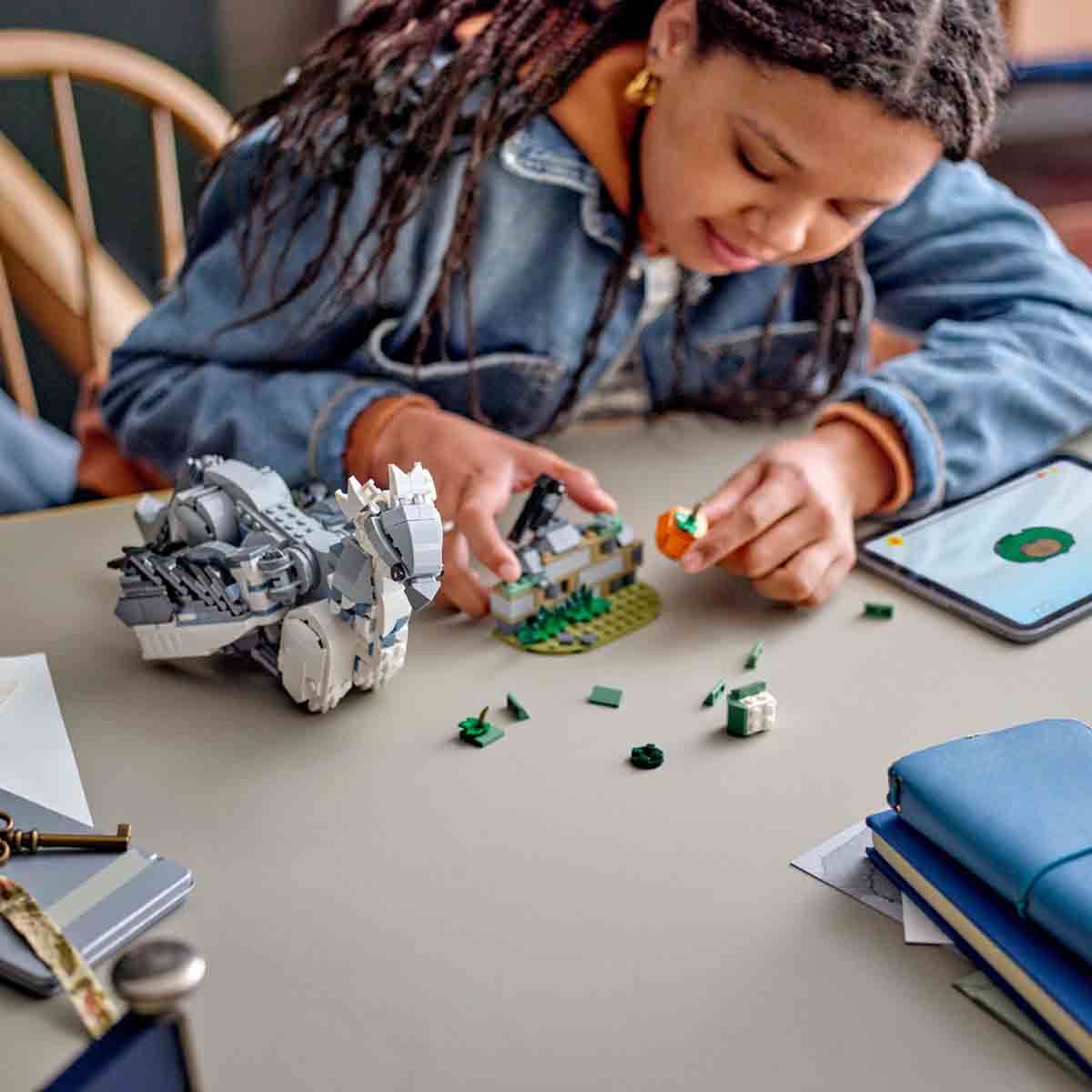 undefined - 64b42_LEGO_Harry_Potter_Sahgaga_76427_.jpg