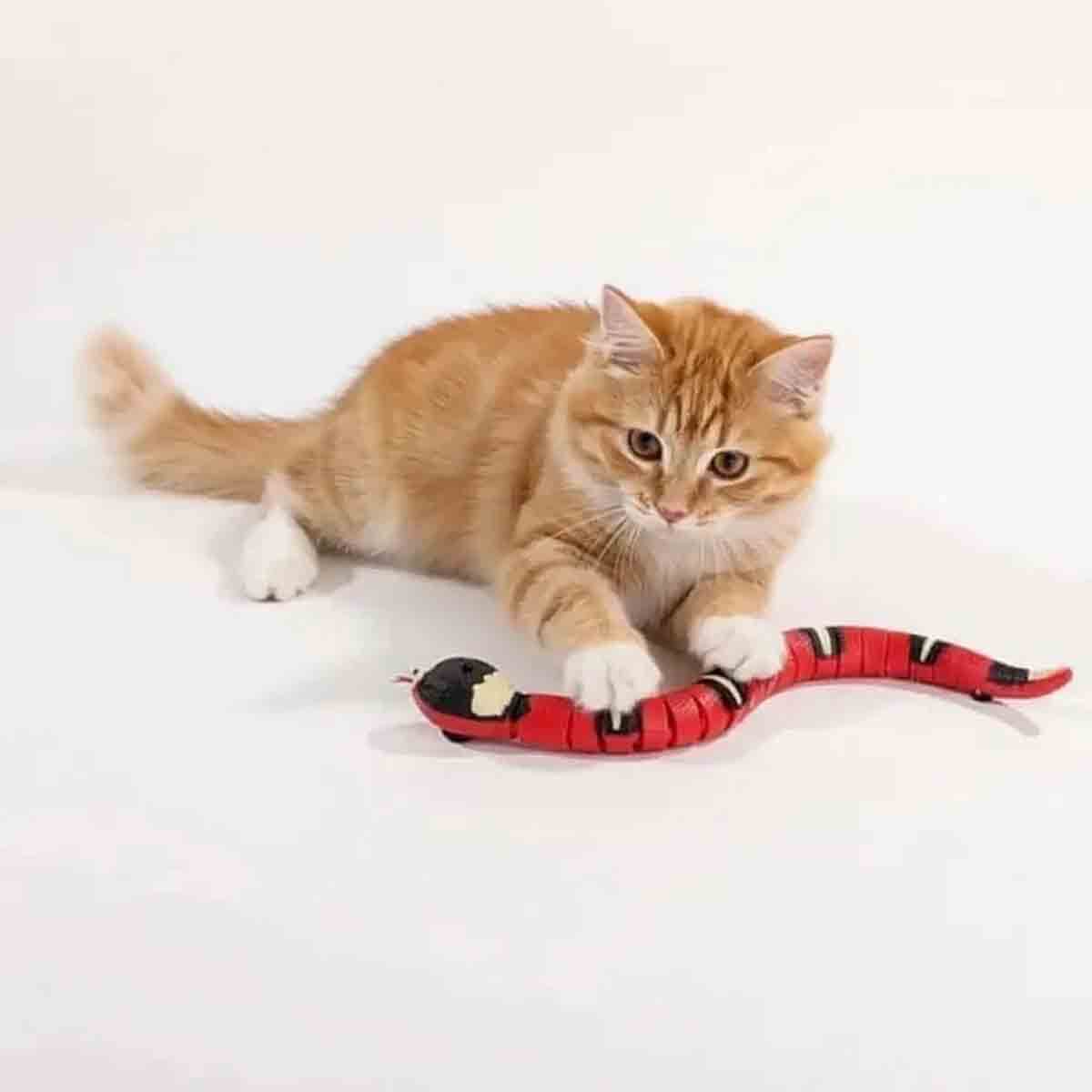 undefined - 66ccf_M_Pets_Sneaky_Snake_Interaktif_Kedi_Oyuncagi.jpg