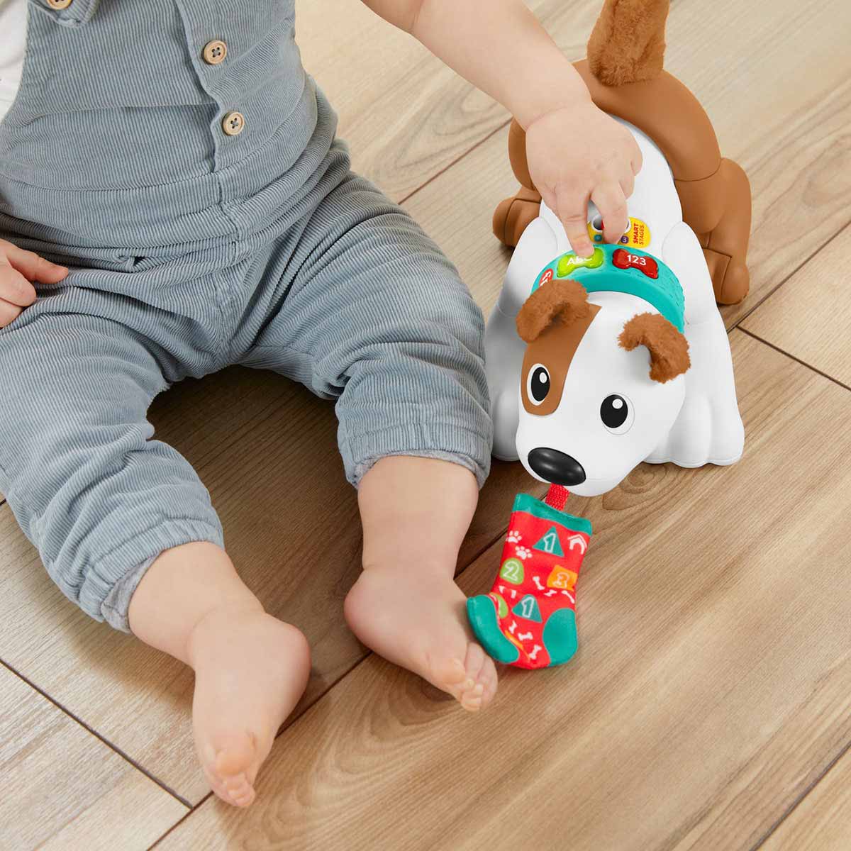 undefined - 673bc_Fisher_Price_Emeklemeyi_ve_Saymayi_Ogreten_Kopekci.jpg