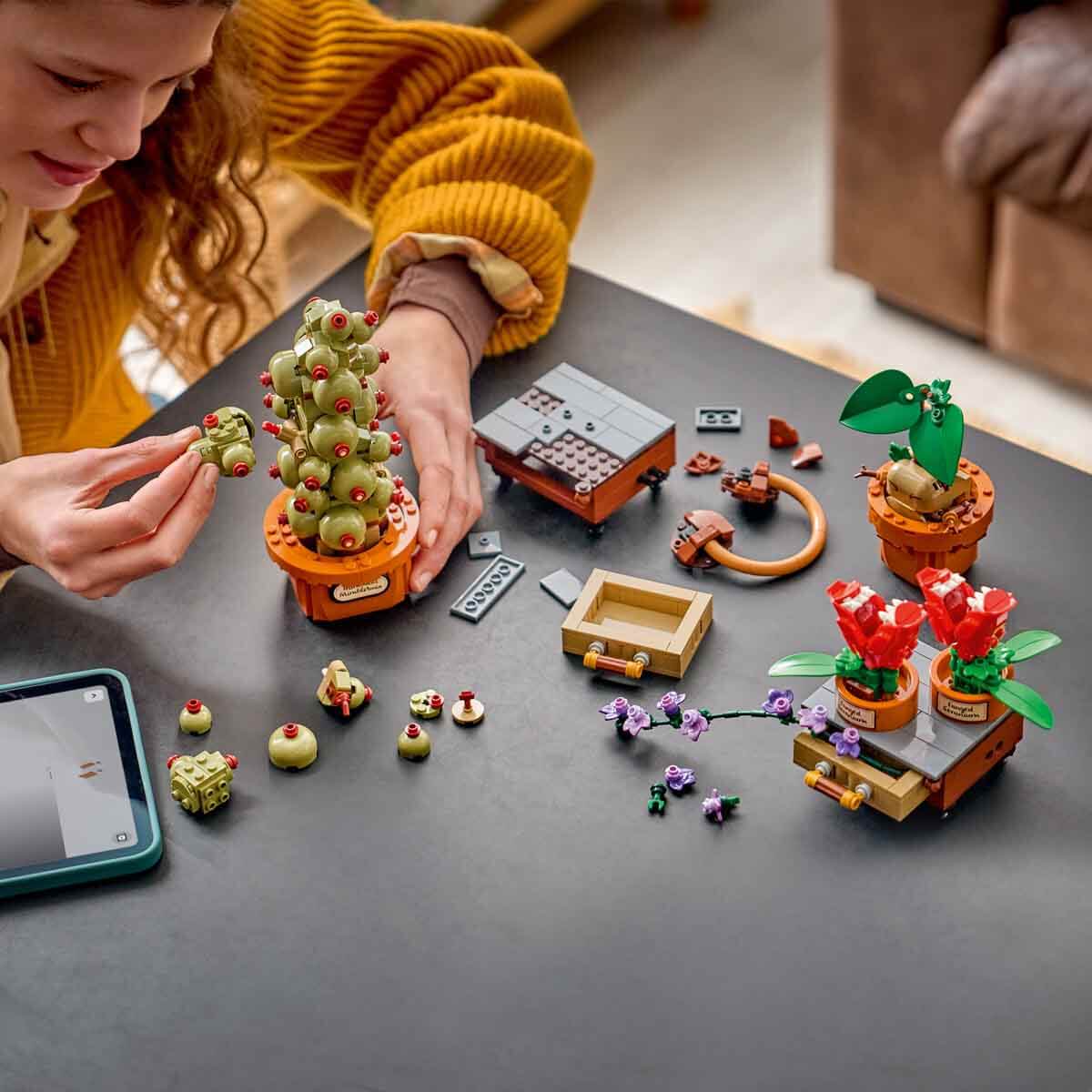 undefined - 68b81_LEGO_Harry_Potter_Hogwarts_Bitkibilim_Bitkileri_76.jpg