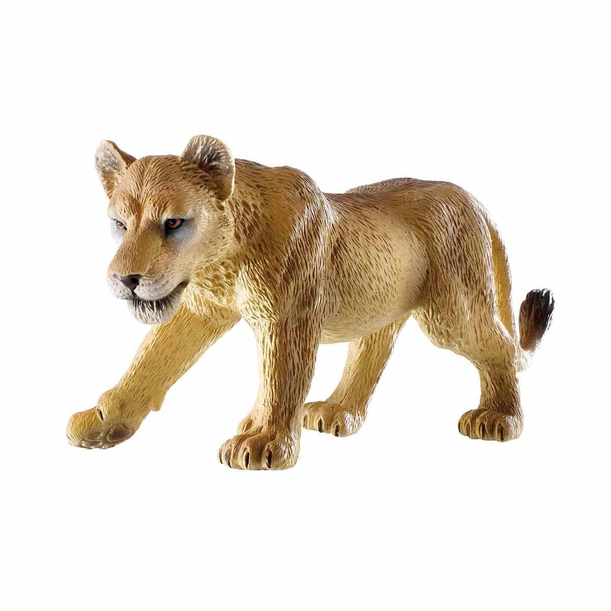 undefined - 6e6b7_Disi_Aslan.jpg
