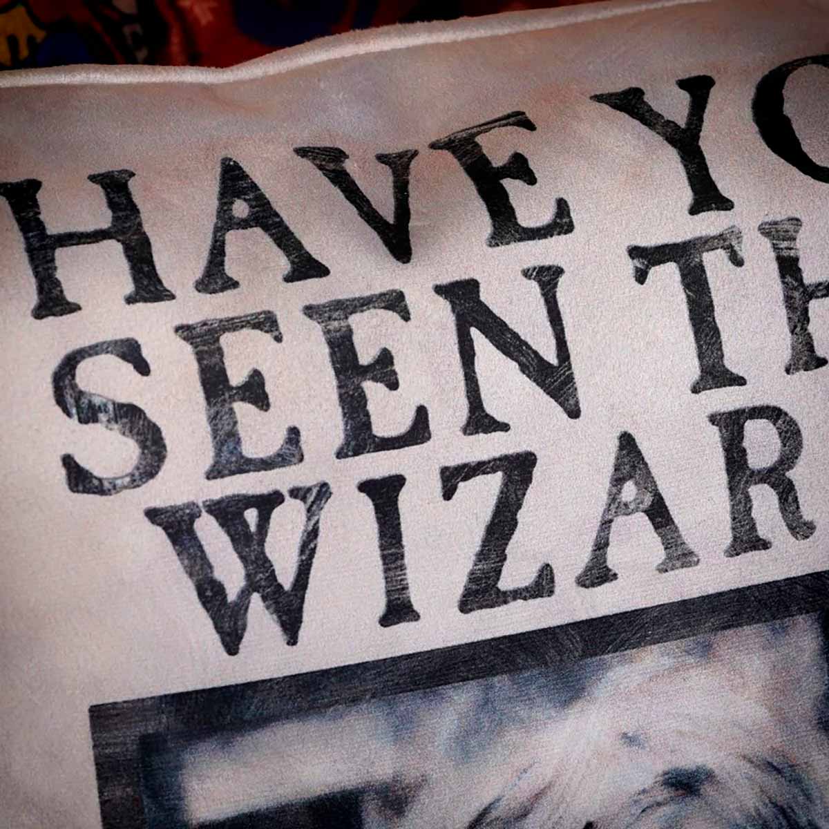 undefined - 6f215_Harry_Potter_Have_You_Seen_This_Wizard_Yastik.jpg