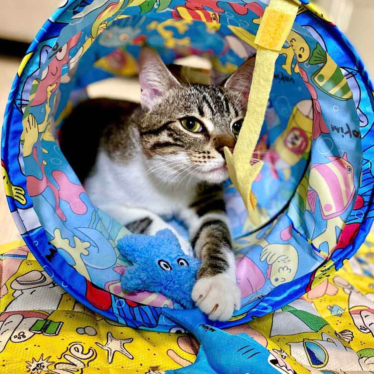 undefined - 741cd_Miyav_Aqua_Temali_Kedi_Tuneli_60_cm.jpg