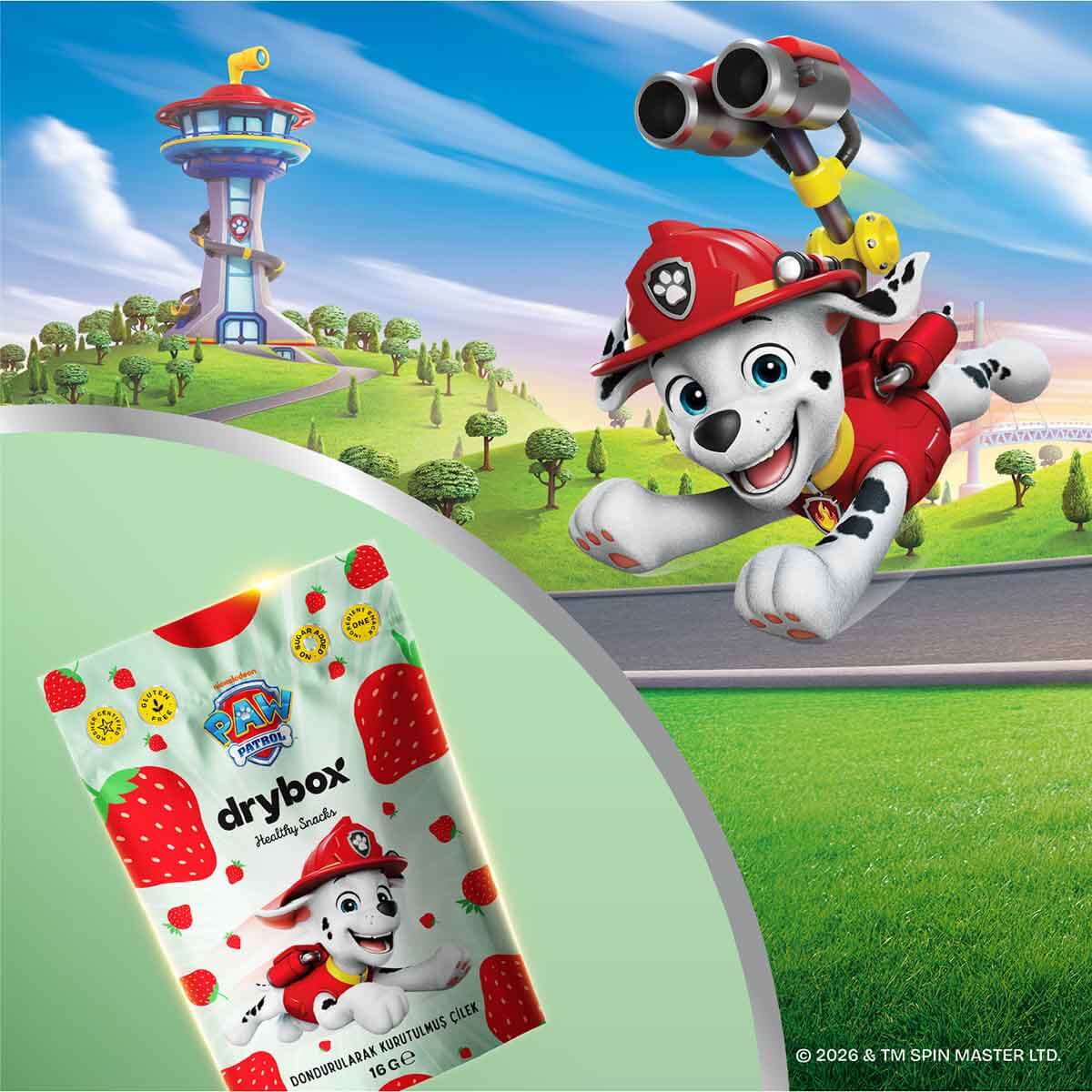 undefined - 77f86_DryBOX_PAW_Patrol_Dondurularak_Kurutulmus_Cilek.jpg