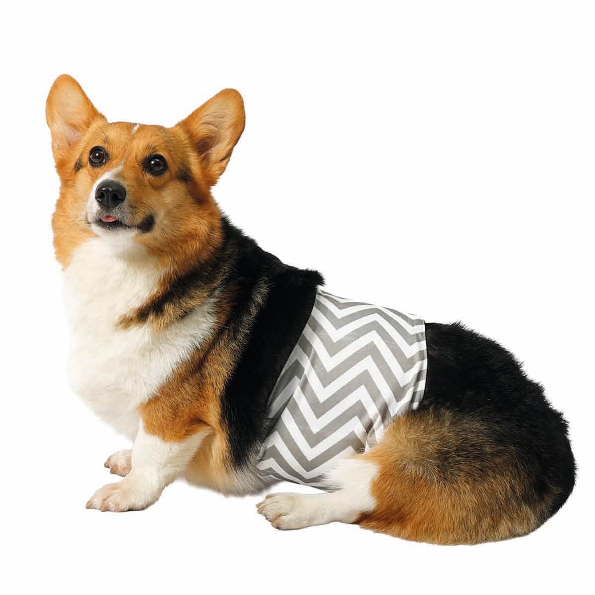 undefined - 784f1_M_Pets_Erkek_Kopekler_Icin_Yikanabilir_Kulot_S.jpg