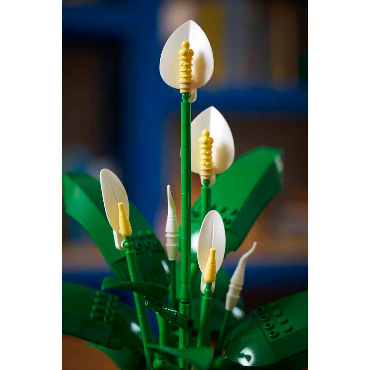 undefined - 7885e_LEGO_Botanicals_Baris_Cicegi_11504_.jpg