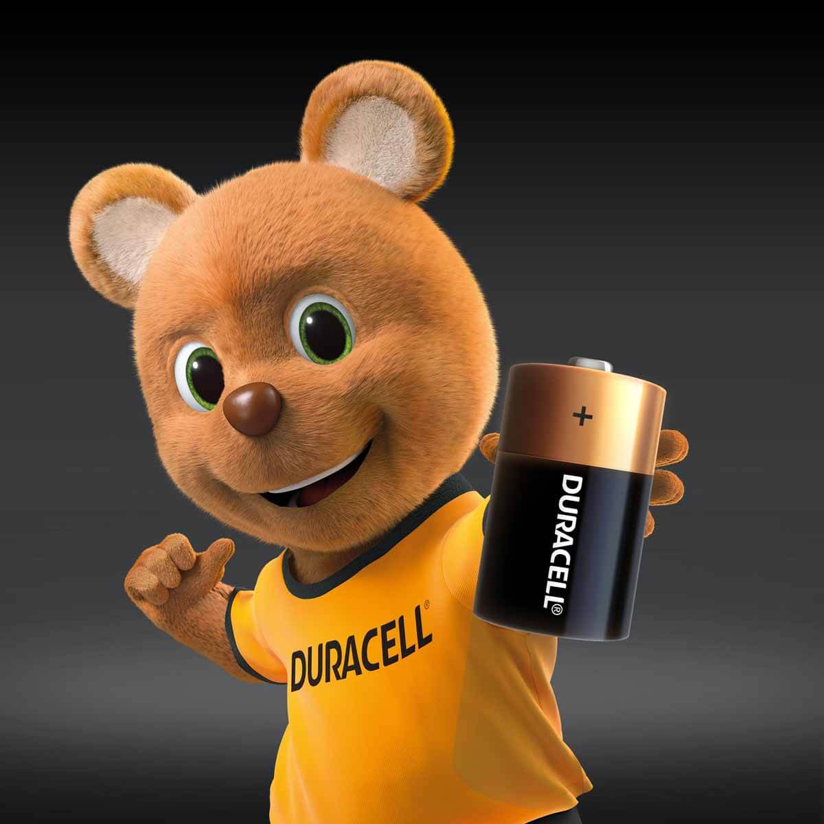 undefined - 795a8_Duracell_Buyuk_Pil_D_2li.jpg