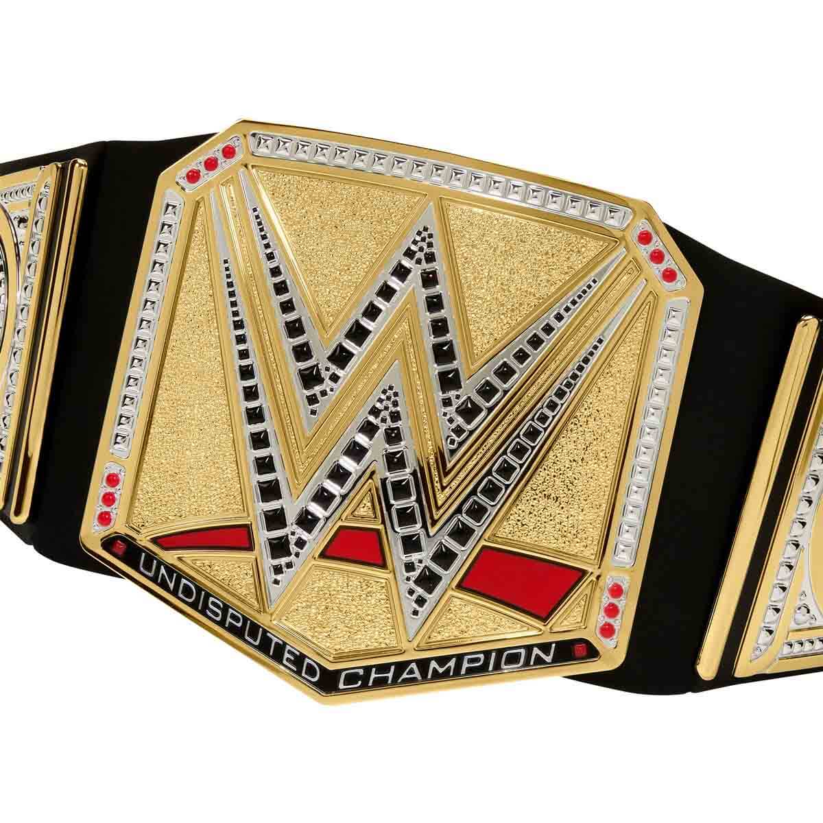 undefined - 79dd1_WWE_SmackDown_Sampiyonluk_Kemeri_HNY41.jpg