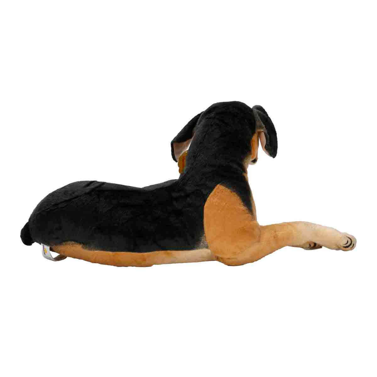 undefined - 7b32b_Beagle_Pelus_68_cm..jpg